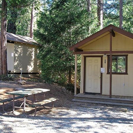 Yosemite Lakes Bunkhouse Cabin 27 Harden Flat Eksteriør bilde