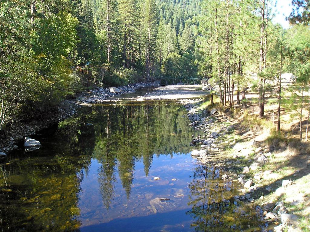 Yosemite Lakes Bunkhouse Cabin 27 Harden Flat Eksteriør bilde
